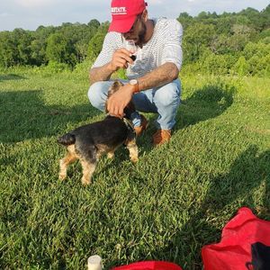 Meet your Posher, Junious